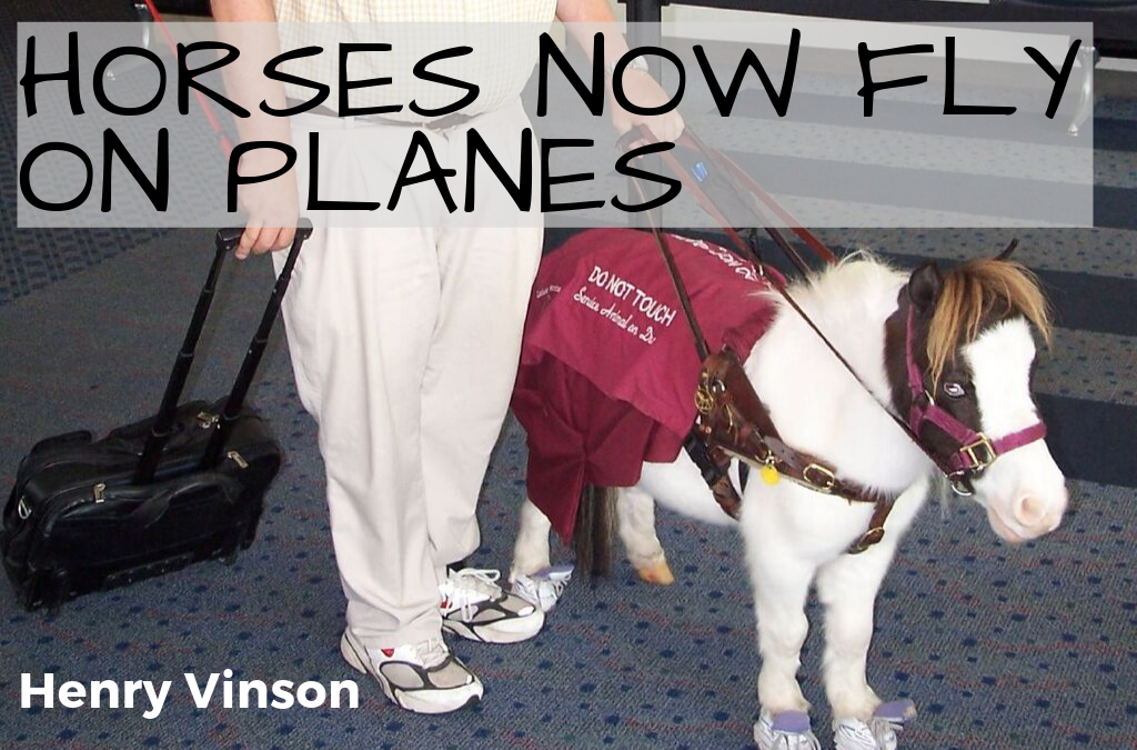 Horses Can Now Fly on Planes